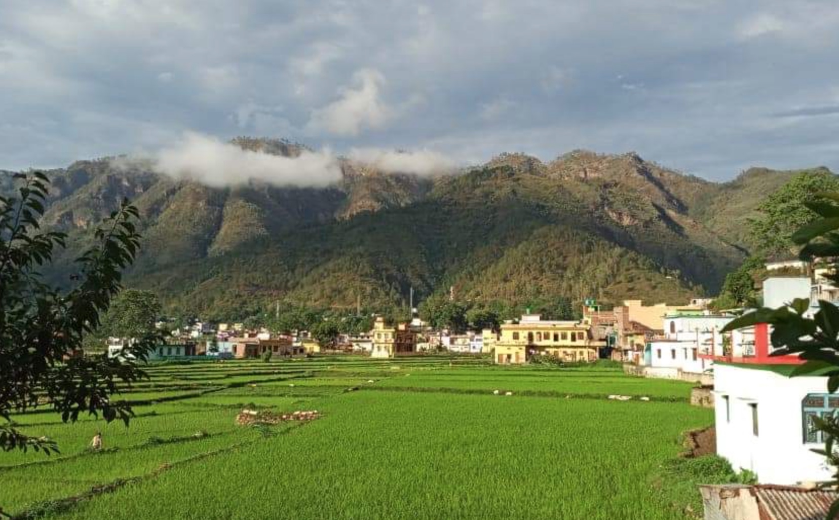 Chaukhutia Business Directory