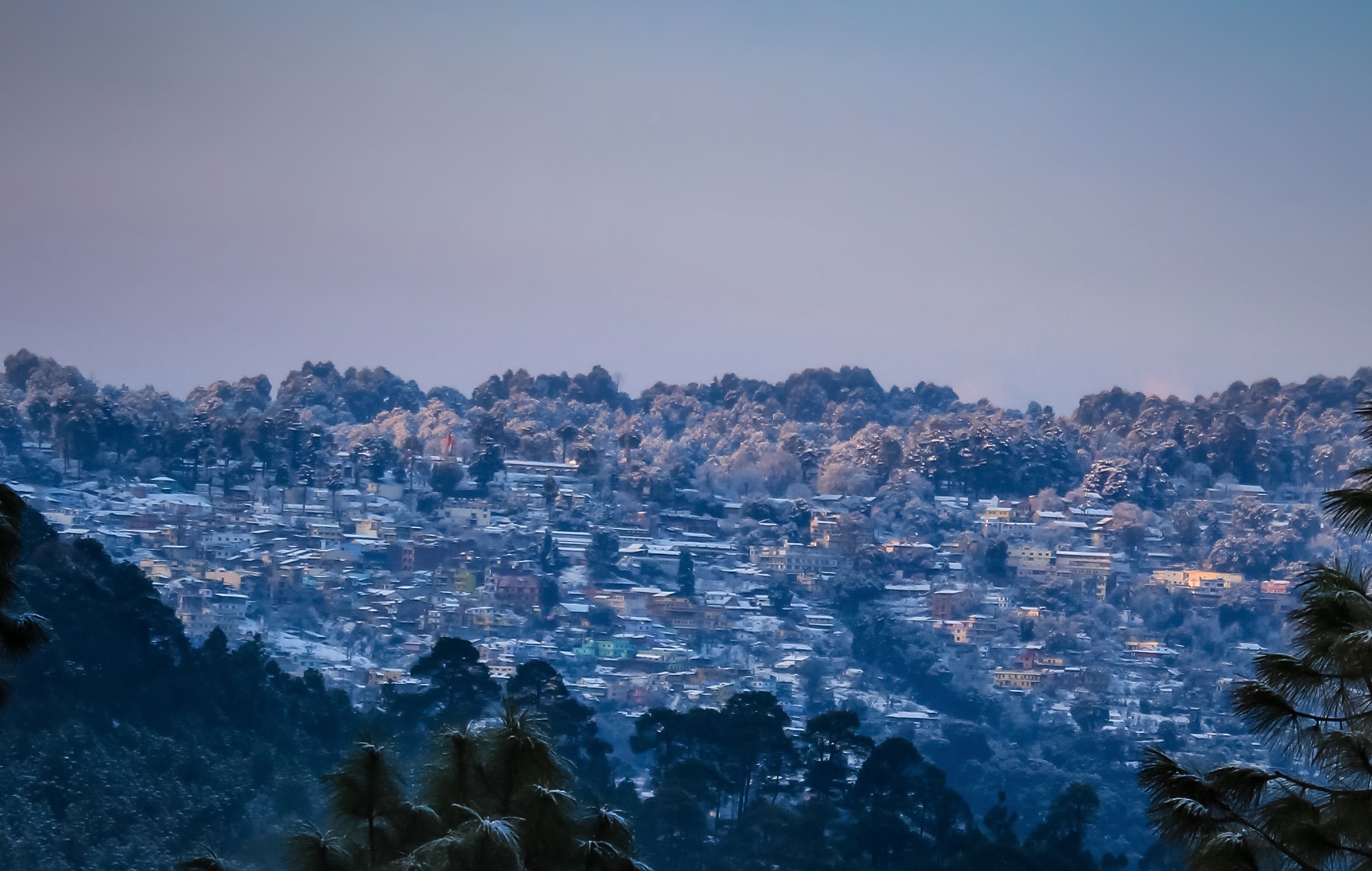 Ranikhet Business Directory