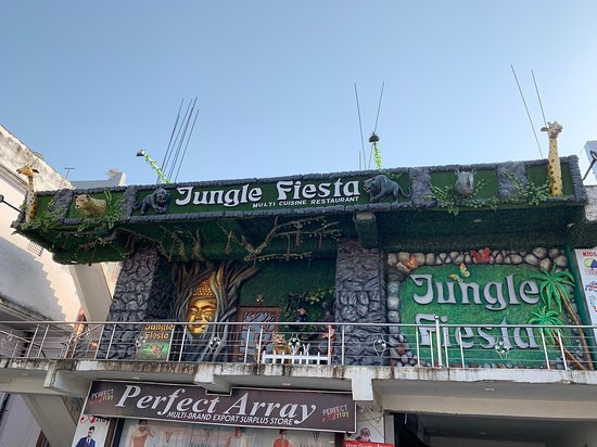 jungle-fiesta-multi-cuisine-haldwani.jpg